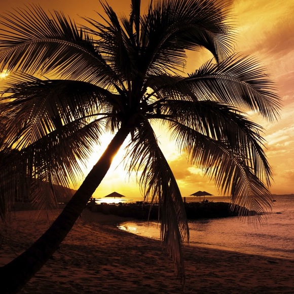 Meet your Posher, Janet - Picture 1 of 1